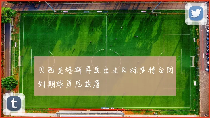 贝西克塔斯再度出击目标多特合同到期球员厄兹詹